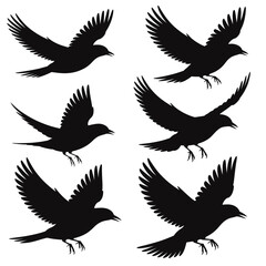 Obraz premium Elegant silhouette birds soaring, perfect for designs needing freedom and movement, minimal design style