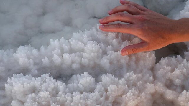 Touching the white salty crystals on the selenium sea with your finger and hand