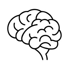 Brain illustration for medical education and neuroscience research in black and white line art