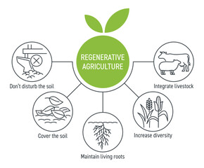 Regenerative Agriculture 5 Principles diagram for article or report