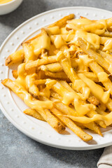Fatty Unhealthy Cheese French Fries