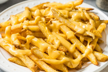 Fatty Unhealthy Cheese French Fries
