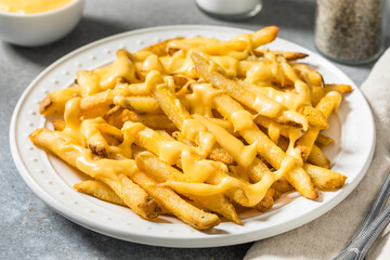 Fatty Unhealthy Cheese French Fries