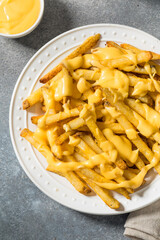 Fatty Unhealthy Cheese French Fries
