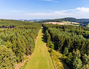 Long firebreak cutting through lush green forest in rural landscape
