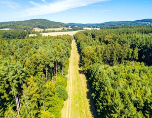 Dirt road cutting through lush green forest in rural landscape