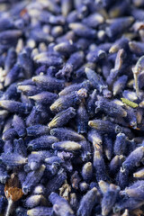 Raw Purple Organic Lavender Herbs