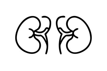 kidneys  silhouette on a white background