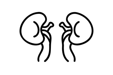 kidneys  silhouette on a white background