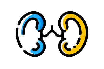 kidneys  silhouette on a white background