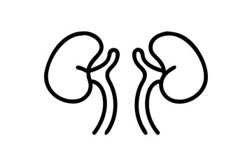 kidneys  silhouette on a white background