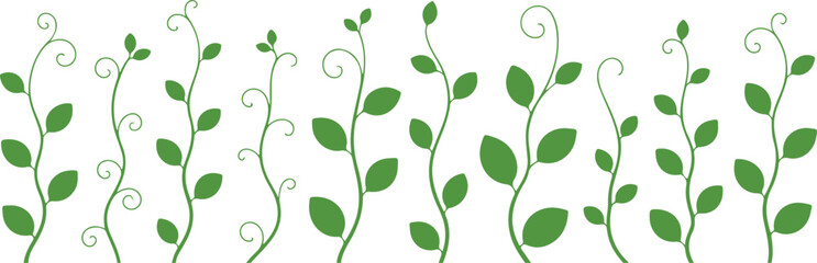 Obraz premium Set of stylized green plant vines with oval leaves and curling tendrils isolated illustration