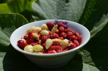 fresh strawberries in bowl is a healthy food