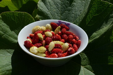 fresh strawberries in bowl is a healthy food