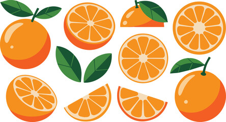 Stylized vector illustration set of fresh oranges including whole fruit slices and leaves