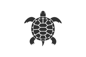 Vector illustrations of turtles vector