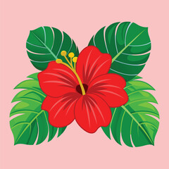 Red hibiscus flower with green tropical leaves on pink background