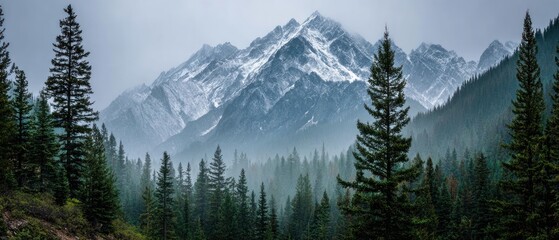 Majestic Snowy Mountain Peak in Misty Forest