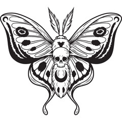 butterfly vector illustration
