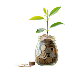3d growing plant in jar of coins