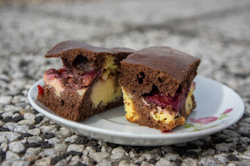 Delicious french cake with cottage cheese, plums and cocoa, baked tasty autumnal gourmet biscuit cut in squares on plate
