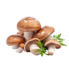 Delicious Shiitake and Enoki Mushrooms isolated on transparent background Remove png