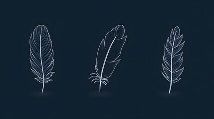Feather-style line icons, minimal stroke weight, elegant and professional style