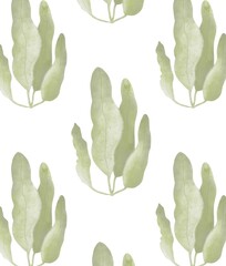 Algae illustration. Repeating pattern 