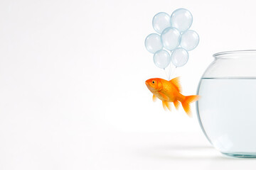 A goldfish escapes from the aquarium in balloons. Space for text.