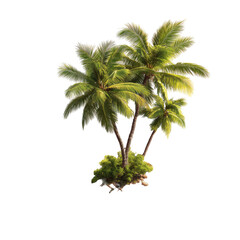 Obraz premium Tropical palm trees on an island