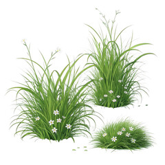3d lush green grass clusters with white flowers