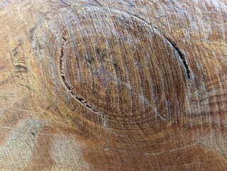 Wood grain reveals nature's artistry in a detailed close-up of a tree stump showcasing time's...