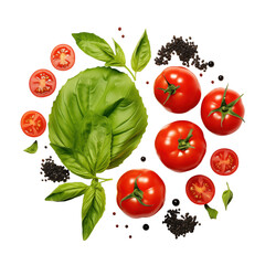 Fresh Tomatoes and Basil Leaves isolated on transparent background Remove png