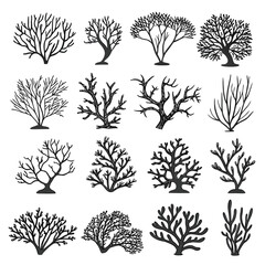 Collection of sixteen diverse black silhouette bare tree and coral shapes on white background branching