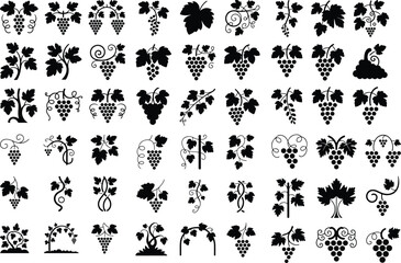 Grapevine Silhouette Icon Set – Natural Fruit Design Vineyard Grape Plant Silhouette Icons for Wine & Nature Themes