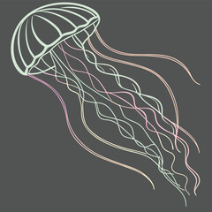 Pastel colored jellyfish with flowing tentacles on dark gray background sea creature marine life