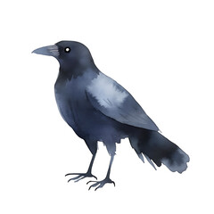 Fototapeta premium Watercolor Crow Illustration: A perched crow rendered in elegant watercolor style, showcasing dark hues and artistic detail against a clean white background.