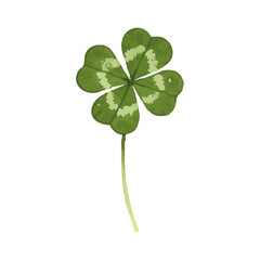 Vector watercolor Spring plants (clover) / 水彩テイストの春の植物（クローバー）イラスト