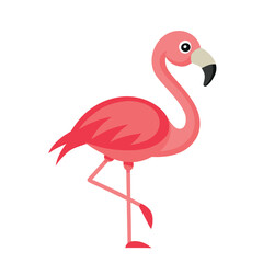 Pink flamingo standing on one leg isolated on white background
