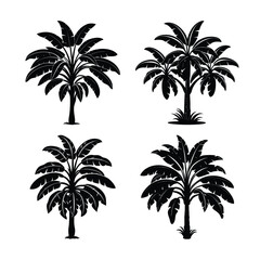 Fototapeta premium set of black and white banana trees
