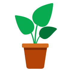 Green houseplant in a terracotta pot isolated on transparent background