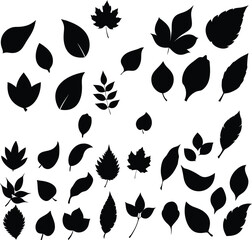 Abstract leaf pattern with vibrant colors