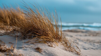 Sandy shoreline featuring windswept grass bordering hazy blue waters under overcast skies