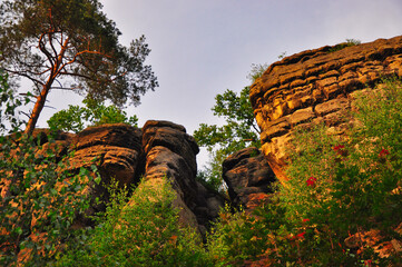 Szwajcaria Lwówecka - potężna grupa skał piaskowcowych.Drzewa i krzewy rosnące na skałach. © Pol Badger