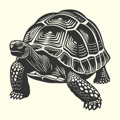Fototapeta premium Vector illustration of a cute walking turtle with a shell isolated on a white background