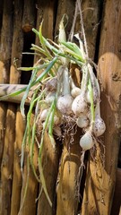 bunch of vegetable onions