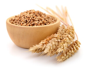 Wheat grains in wooden bowl and ears