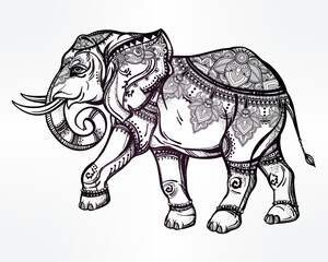 Detailed elephant illustration with intricate patterns and designs for print and tattoo ideas art drawing