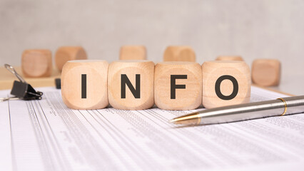 INFO on wooden cubes placed on documents with pen, concept of data and business information