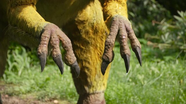 Close-up of moving dinosaur claws paws, close-up. Movement and anatomy of prehistoric extinct animals on mechanical model outdoor.